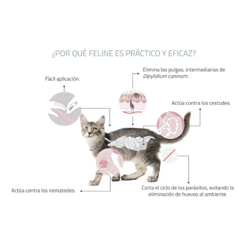 Antiparasitario Feline Fullspot 2 A 5 Kg Gato