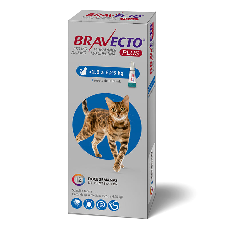 Bravecto Plus para Gatos 2,8 a 6,25 Kg Pipeta 250mg