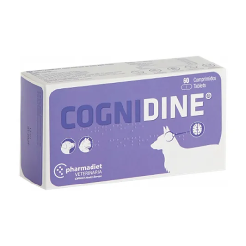 Cognidin - 60 Comprimidos