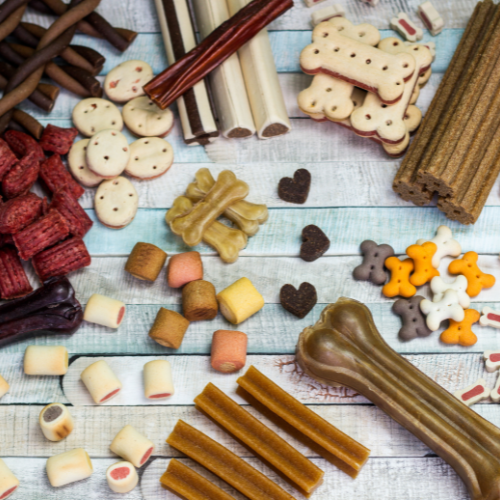 Farmacia Veterinaria