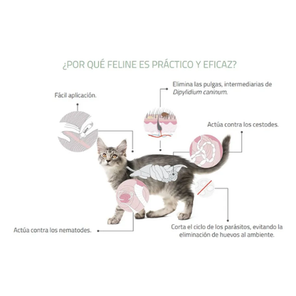 Antiparasitario Feline Fullspot 2 A 5 Kg Gato