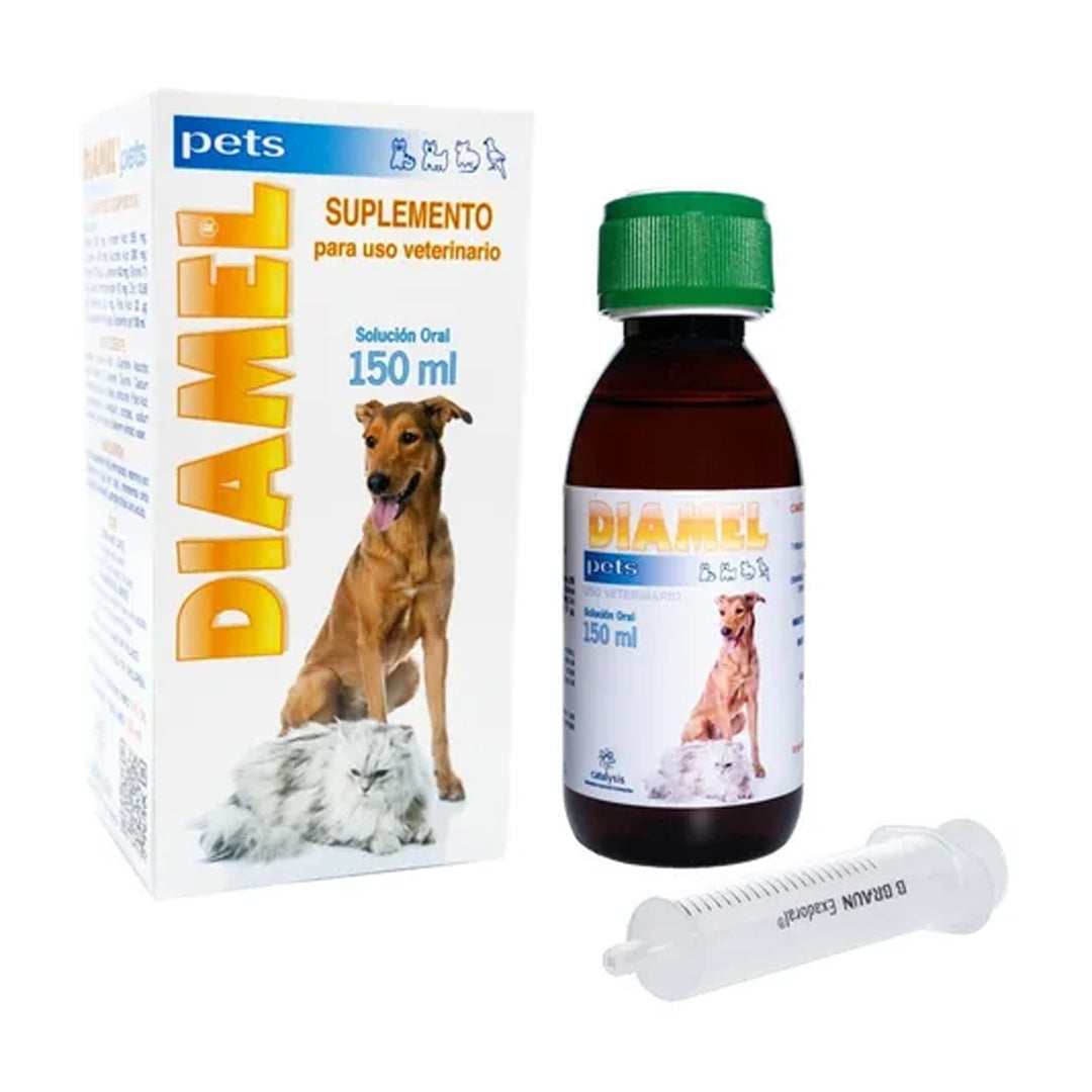 Suplemento Diamel Catalysis Diabetes para perros, frasco con pastillas en la etiqueta, medicamento para control de diabetes canina.