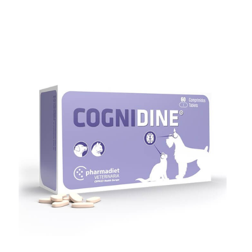 Cognidin - 60 Comprimidos