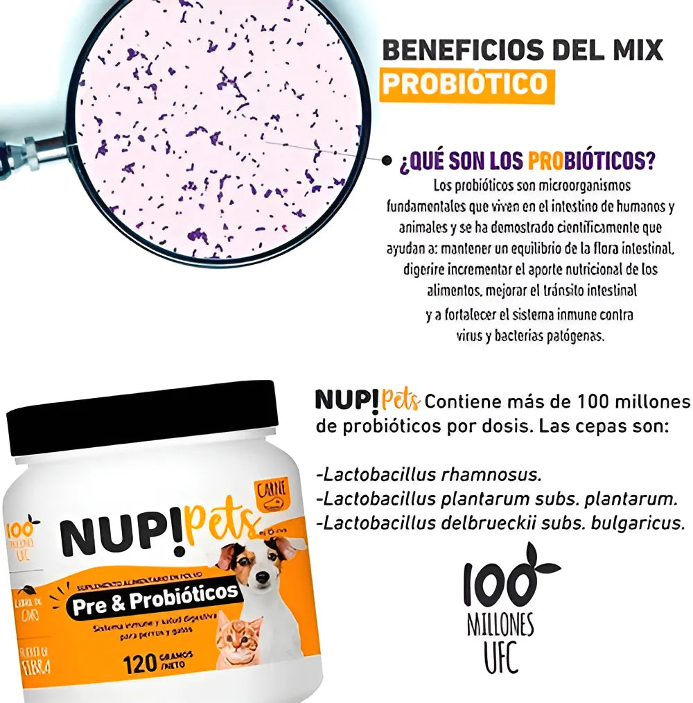 Nup! Pets Suplemento Pre & Probióticos Perro Y Gato Sabor Carne - ventas pet