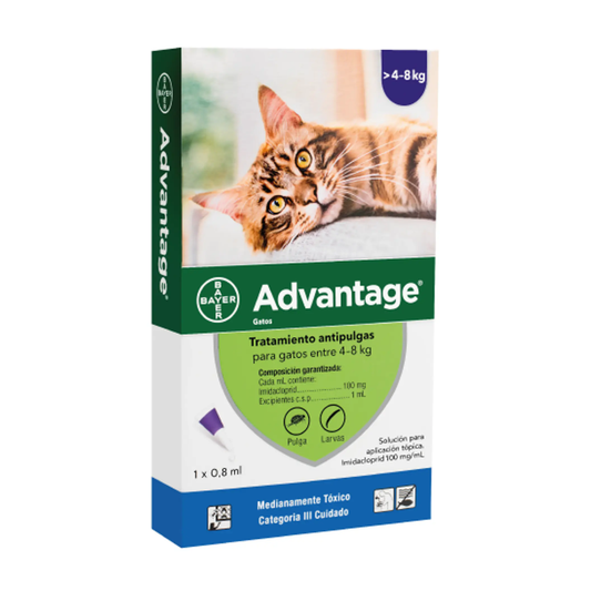 Advantage Pipeta Antipulgas Gatos De 4 A 8 Kg